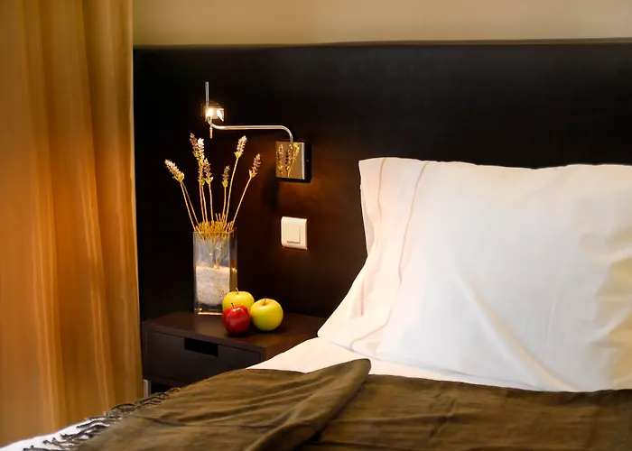 Hotel Jeronimos 8